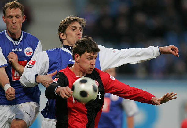 他们的组织 他们的组织