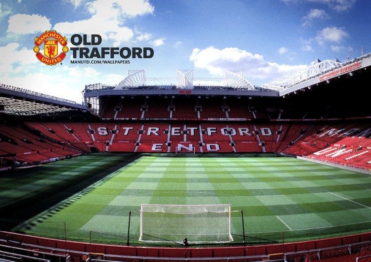 让它在搜索 让它在搜索